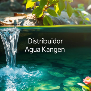 Agua Alacalina con Enagic