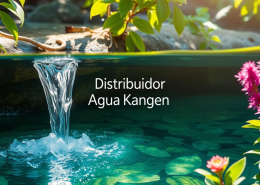 Agua Alacalina con Enagic