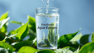 Agua alcalina Enagic Agua Ionizada Alcalina Kangen